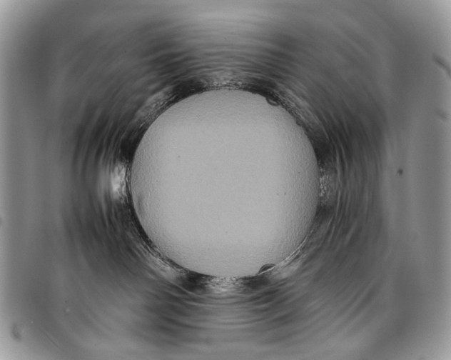 X0000097780142200803281710