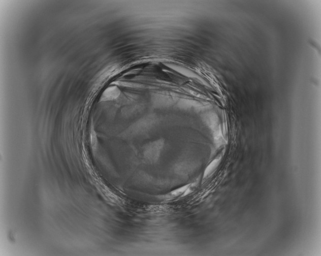 X0000097780145200803281709