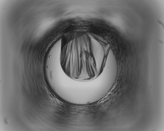 X0000097780146200803281709