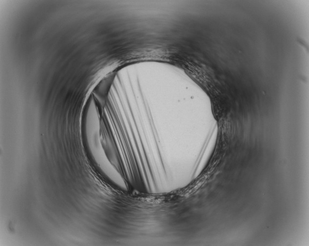 X0000097780148200803281709