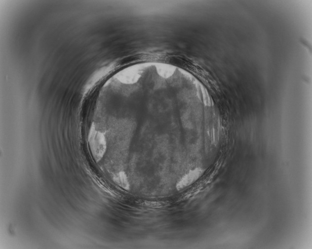 X0000097780149200803281709