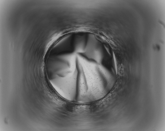 X0000097780152200803281709