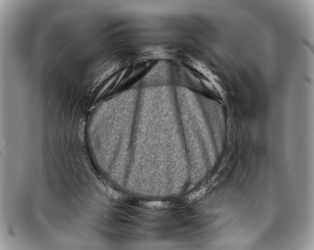 X0000097780153200803281709