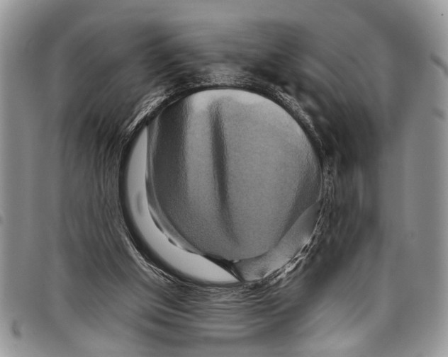 X0000097780154200803281709