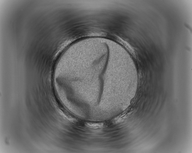 X0000097780155200803281709