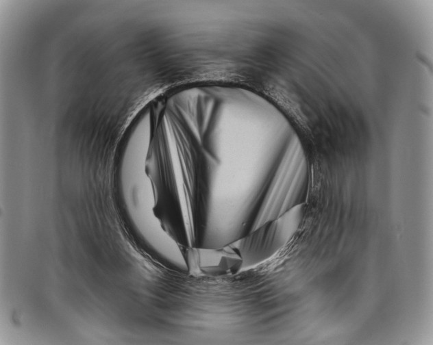 X0000097780156200803281709