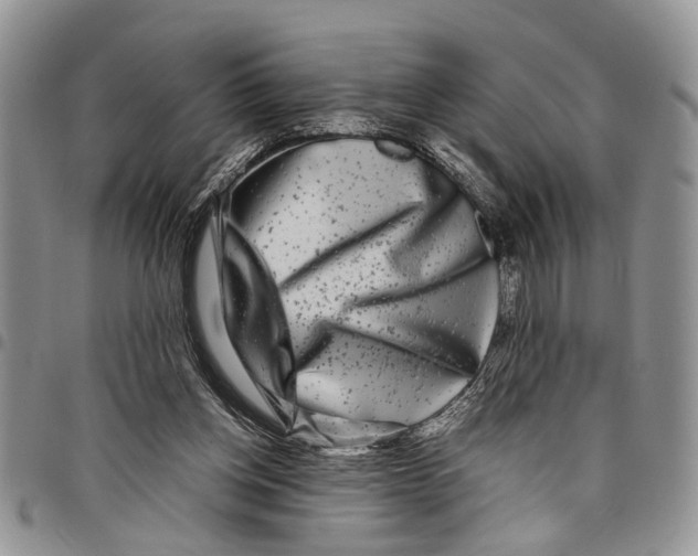 X0000097780158200803281709