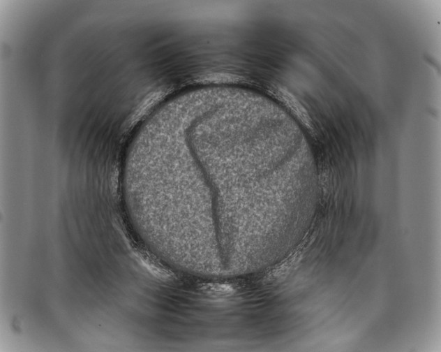 X0000097780159200803281709