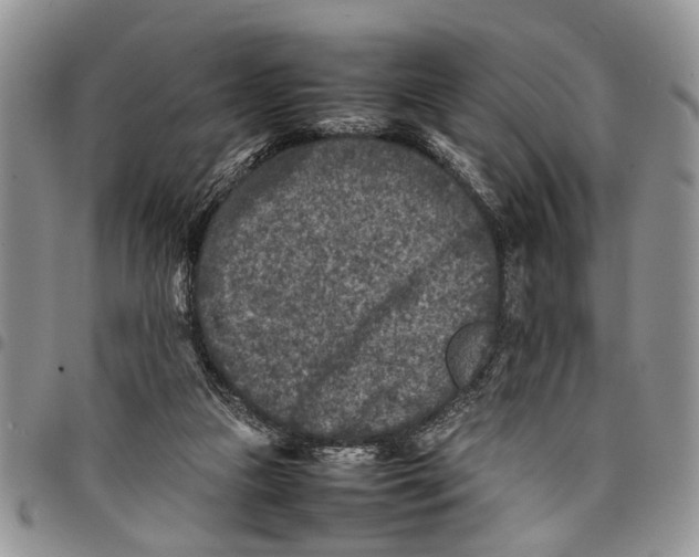 X0000097780161200803281709