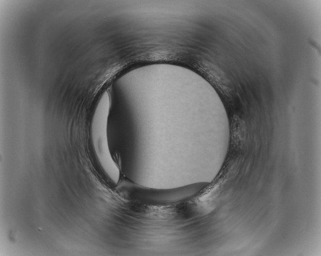 X0000097780164200803281709