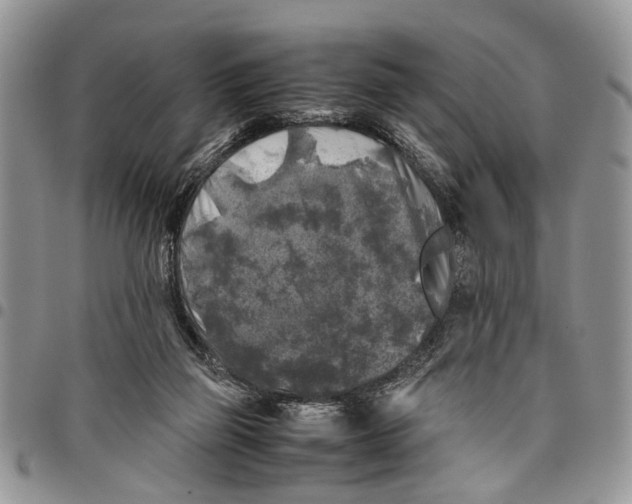 X0000097780165200803281709