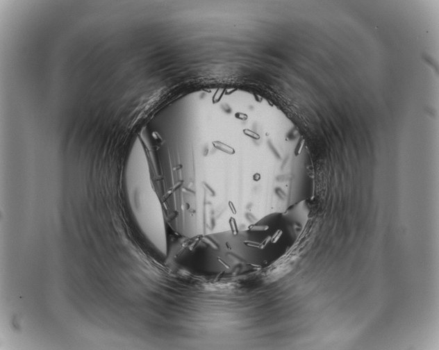 X0000097780168200803281709