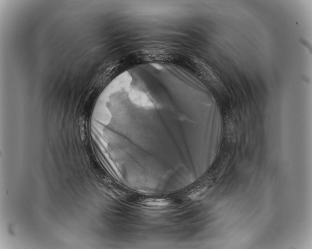 X0000097780169200803281709