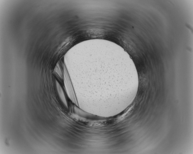 X0000097780170200803281709