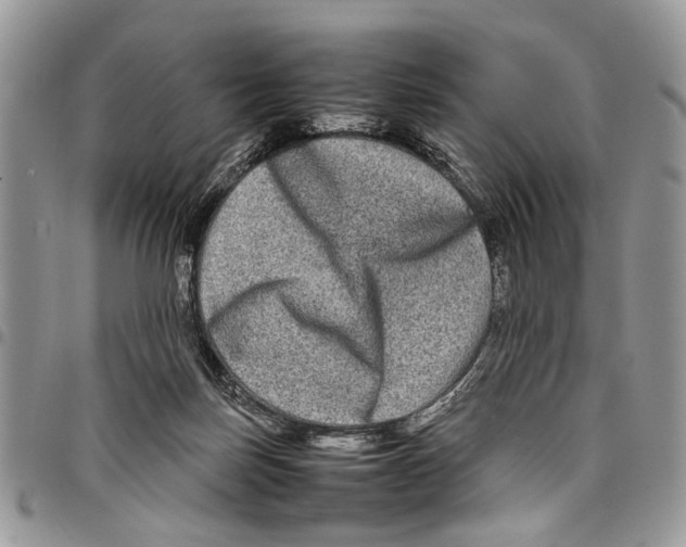 X0000097780171200803281709