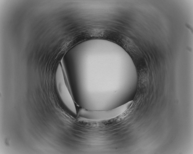 X0000097780172200803281709