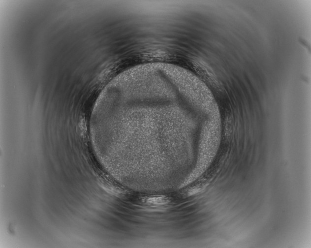 X0000097780173200803281709