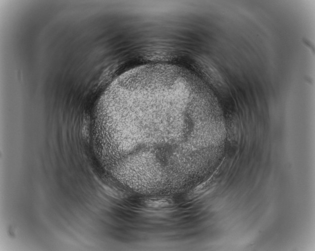 X0000097780175200803281709