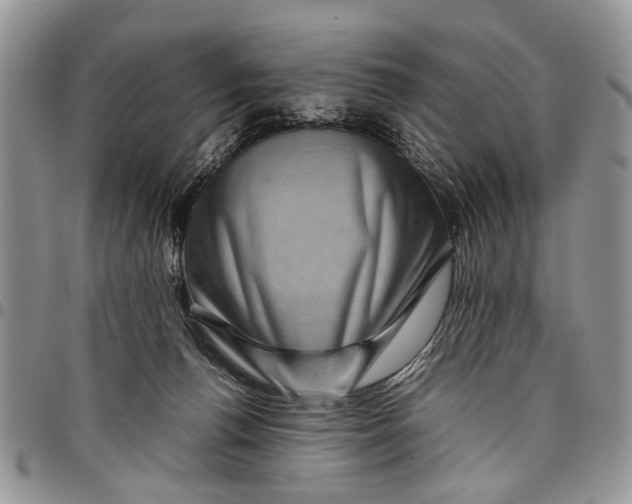 X0000097780176200803281709