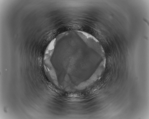 X0000097780177200803281709