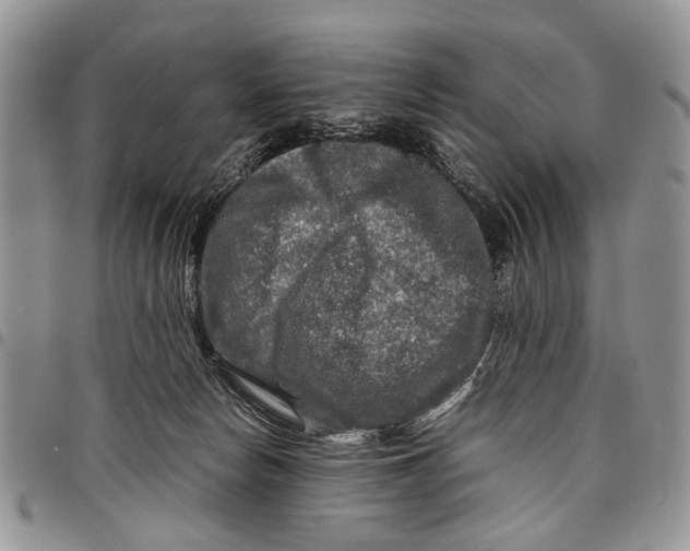 X0000097780178200803281710