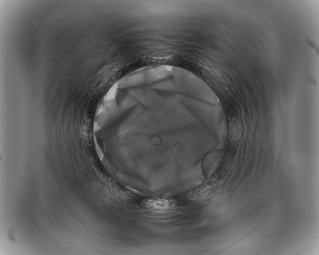 X0000097780181200803281710