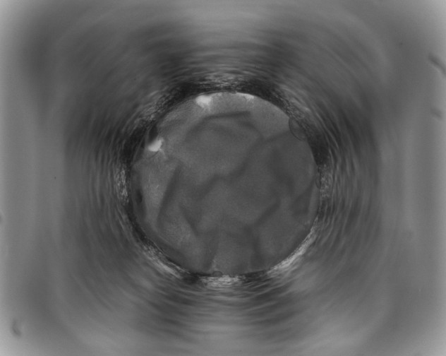 X0000097780182200803281710