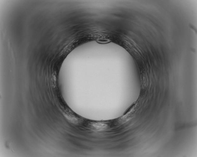 X0000097780183200803281710