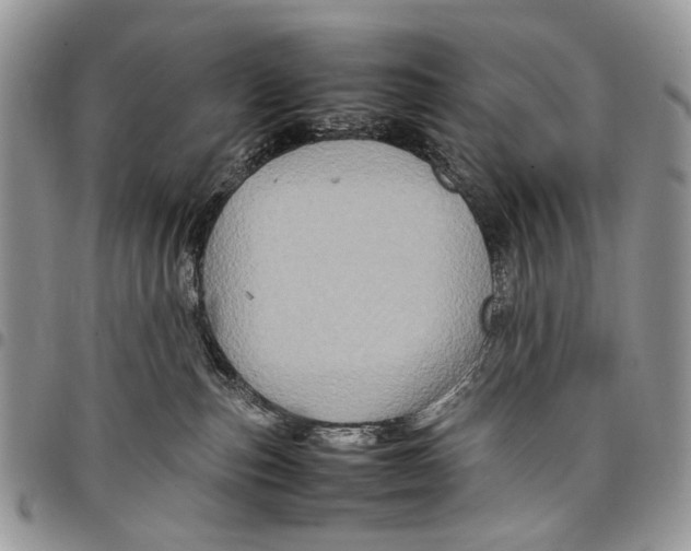 X0000097780187200803281710