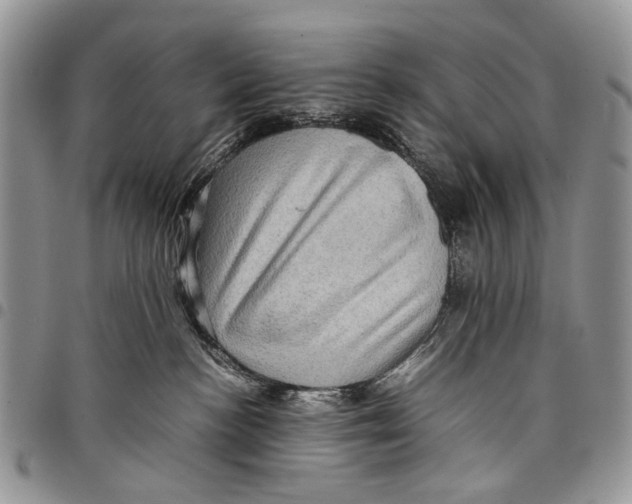 X0000097780188200803281710