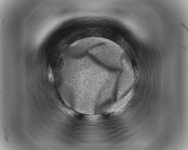 X0000097780191200803281710