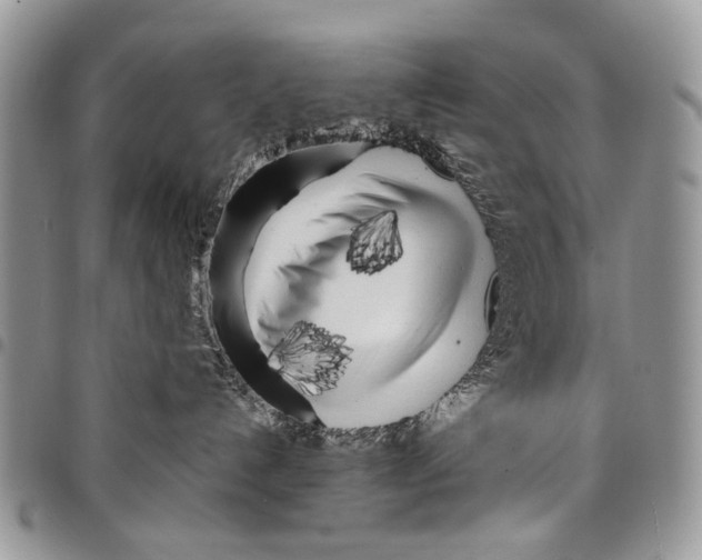 X0000097780192200803281710