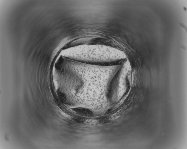 X0000097780195200803281709