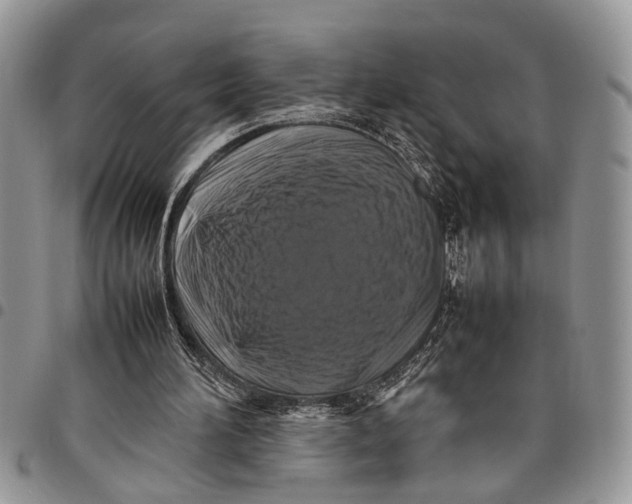 X0000097780196200803281709