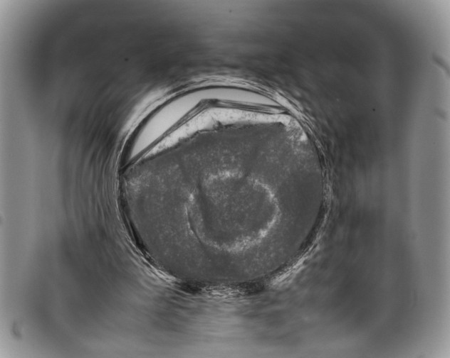 X0000097780199200803281709