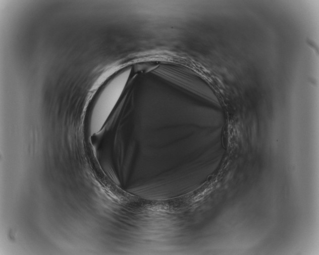 X0000097780200200803281709