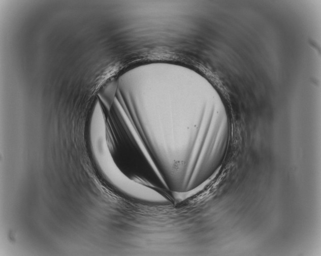 X0000097780201200803281709