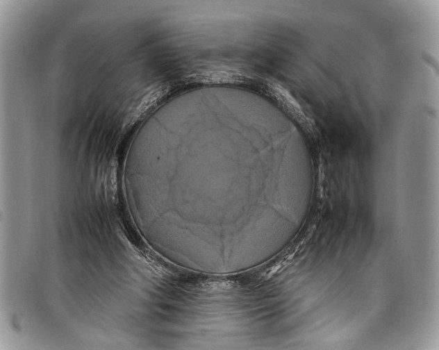 X0000097780202200803281709