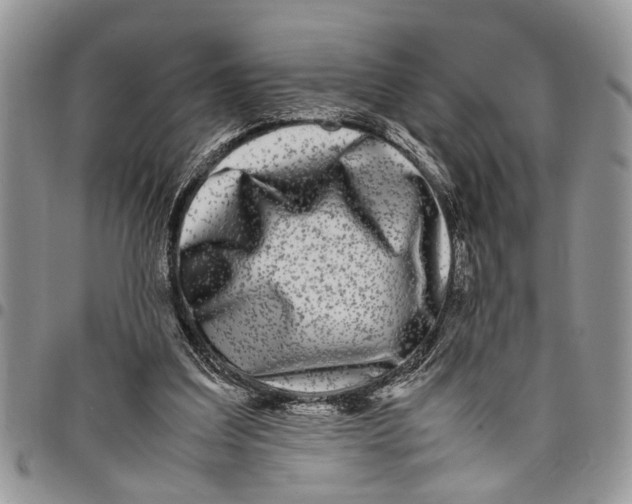 X0000097780203200803281709