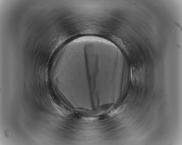 X0000097780204200803281709