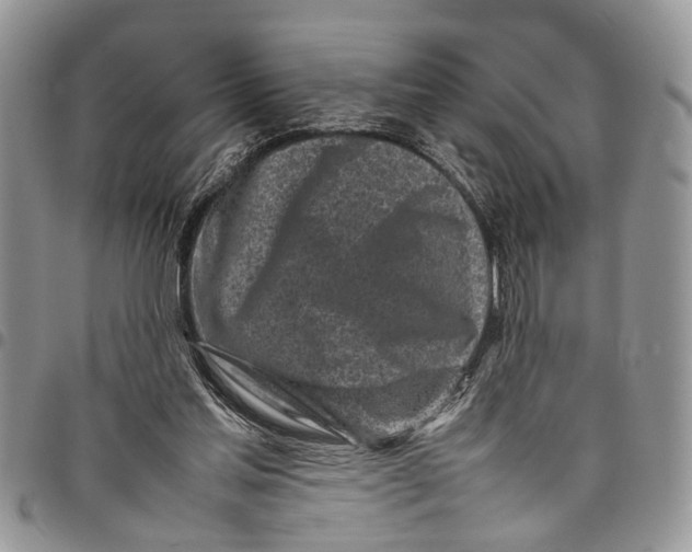 X0000097780205200803281709