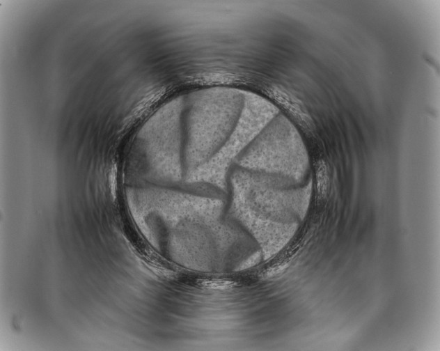 X0000097780206200803281709