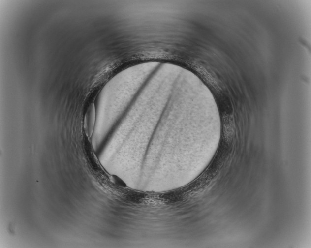 X0000097780207200803281709