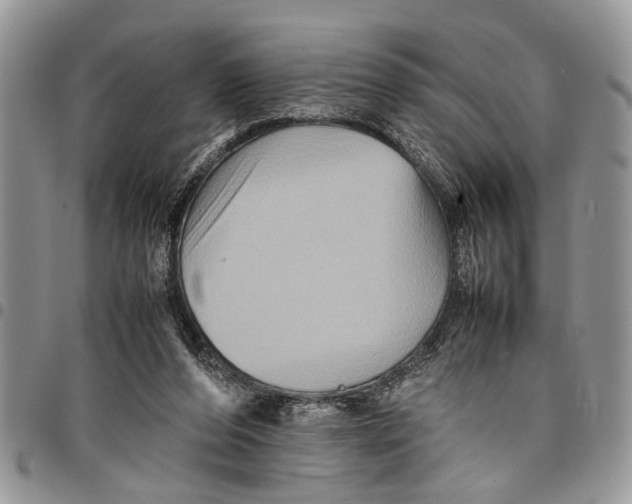 X0000097780208200803281709