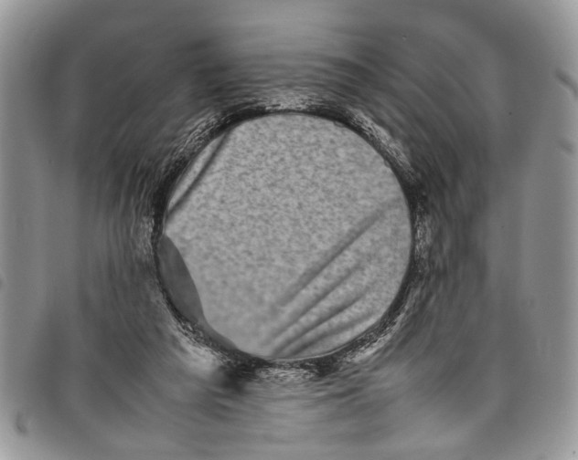 X0000097780209200803281709