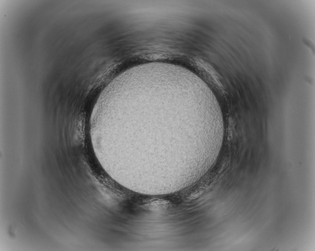 X0000097780210200803281709