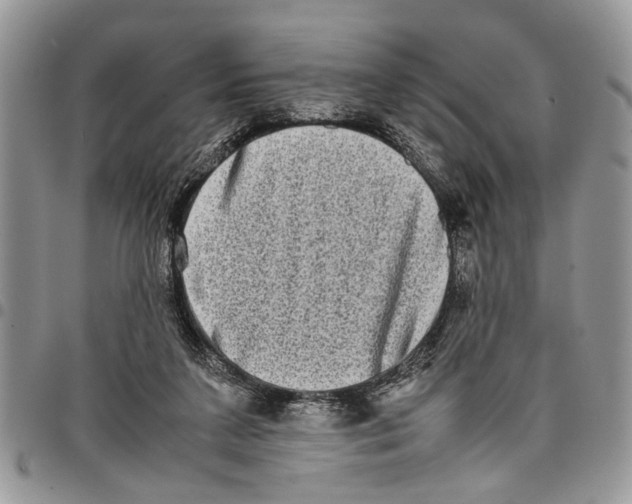 X0000097780211200803281709