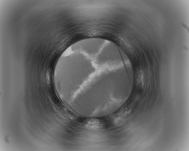 X0000097780214200803281709