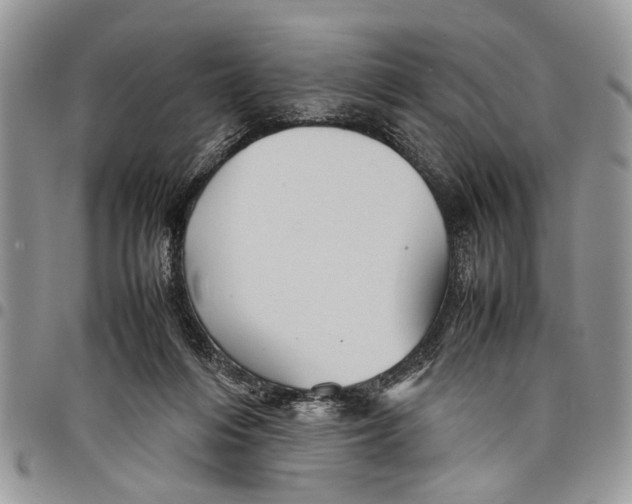 X0000097780216200803281709