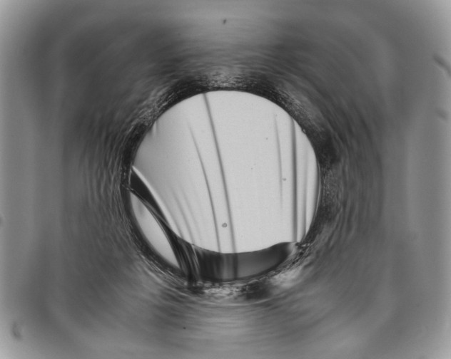 X0000097780217200803281709